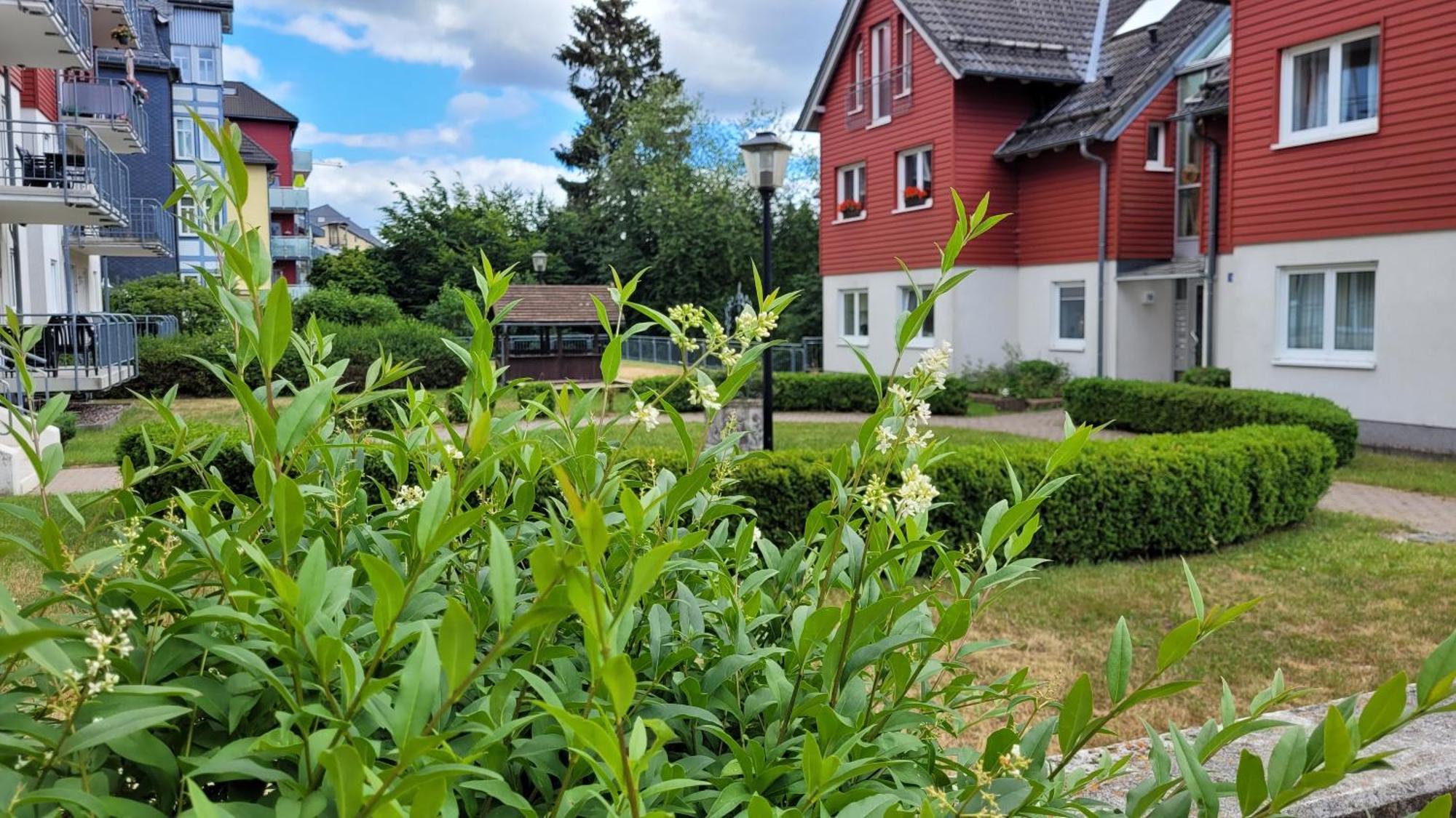 Wohlfuehl-Ferienwohnung Mit Tiefgarage Im Gruenen 오버호프 외부 사진